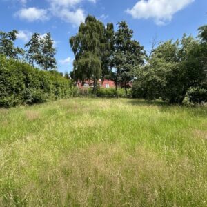 Grundstück mit Altbestand – bereit für deinen Neubau